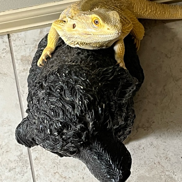 Meet your Posher, Marian - Picture 4 of 8